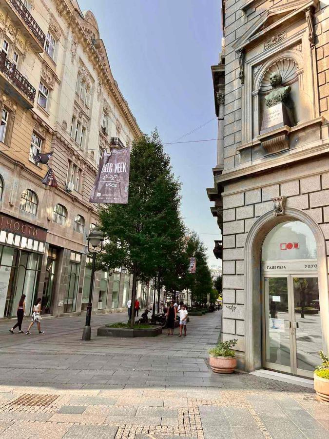 Belgrade Heart Of A Historical Centerアパートメント エクステリア 写真