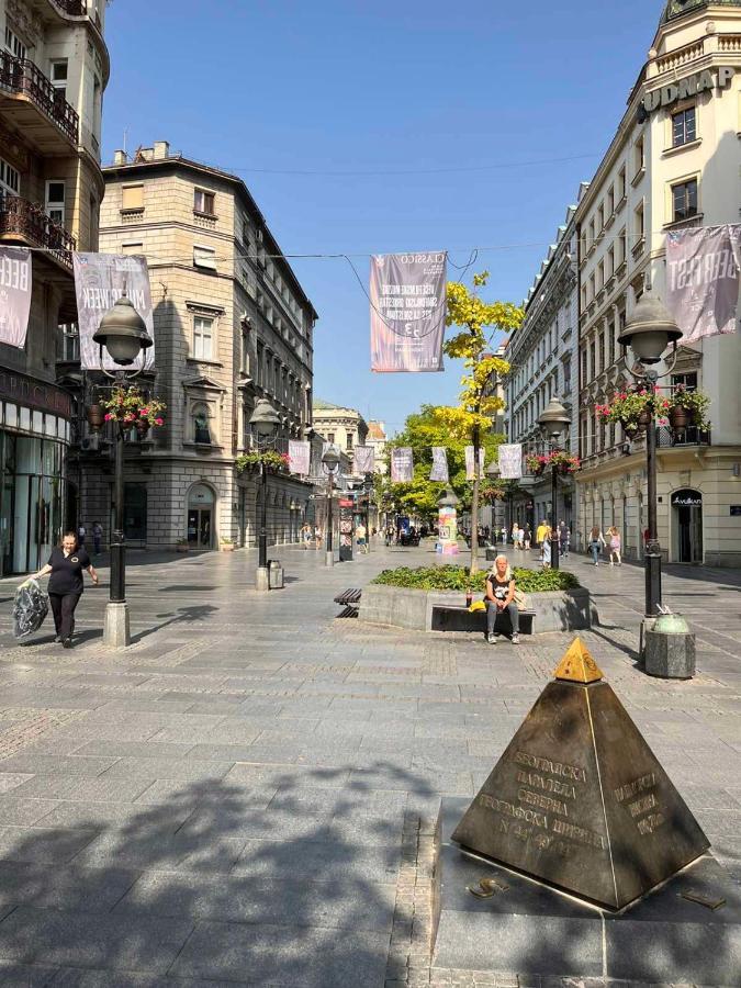 Belgrade Heart Of A Historical Centerアパートメント エクステリア 写真