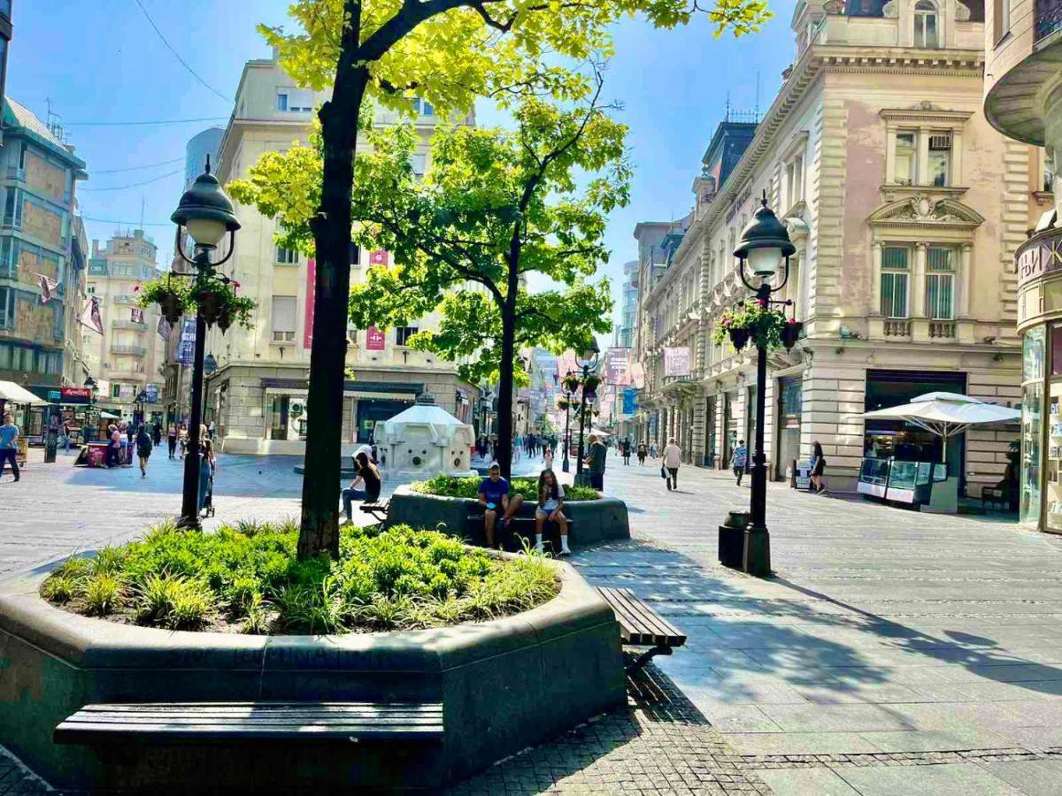 Belgrade Heart Of A Historical Centerアパートメント エクステリア 写真